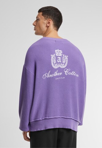 Pull-over Another Cotton Lab en violet : devant
