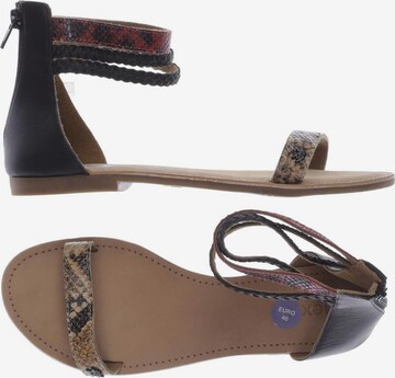 MEXX Sandals & High-Heeled Sandals in 40 in Brown: front