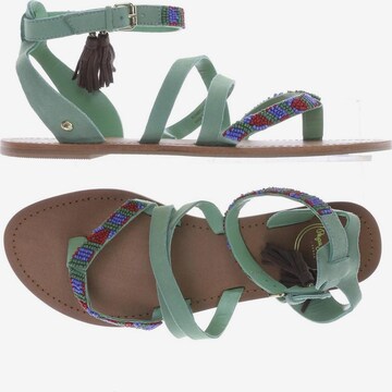 Pepe Jeans Sandals & High-Heeled Sandals in 40 in Green: front