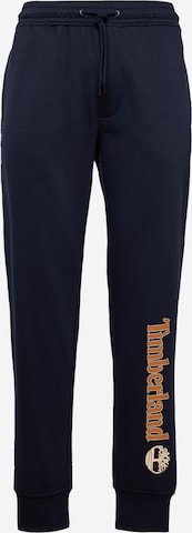 mėlyna TIMBERLAND Kelnės: priekis