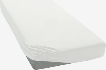 MY HOME Bed Sheet in White: front