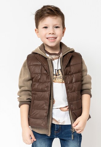 Gulliver Vest in Brown: front