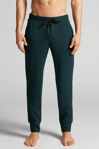 INTIMISSIMI Tapered Hose in Grün: Vorderseite