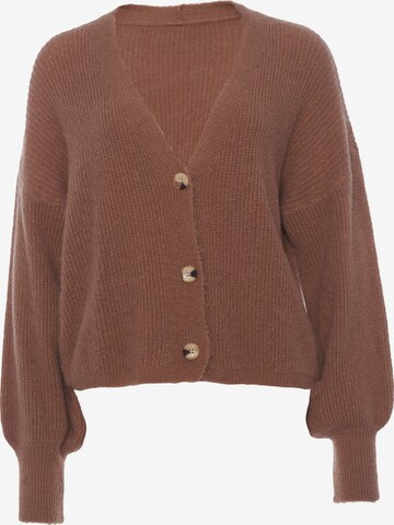 Decay Knit Cardigan in Brown: front