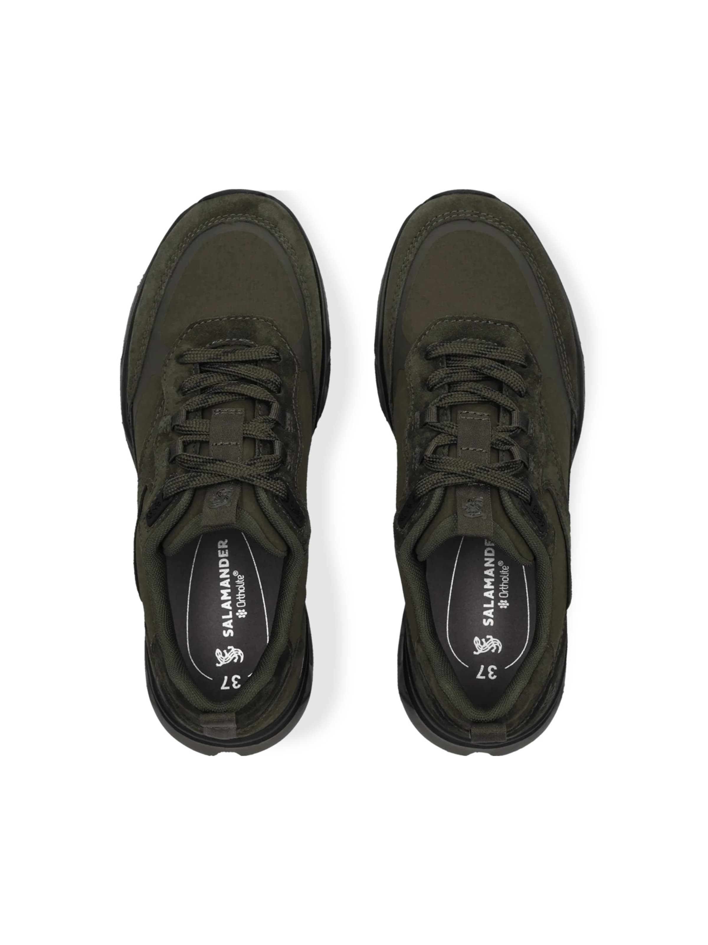 Baskets basses SALAMANDER en vert