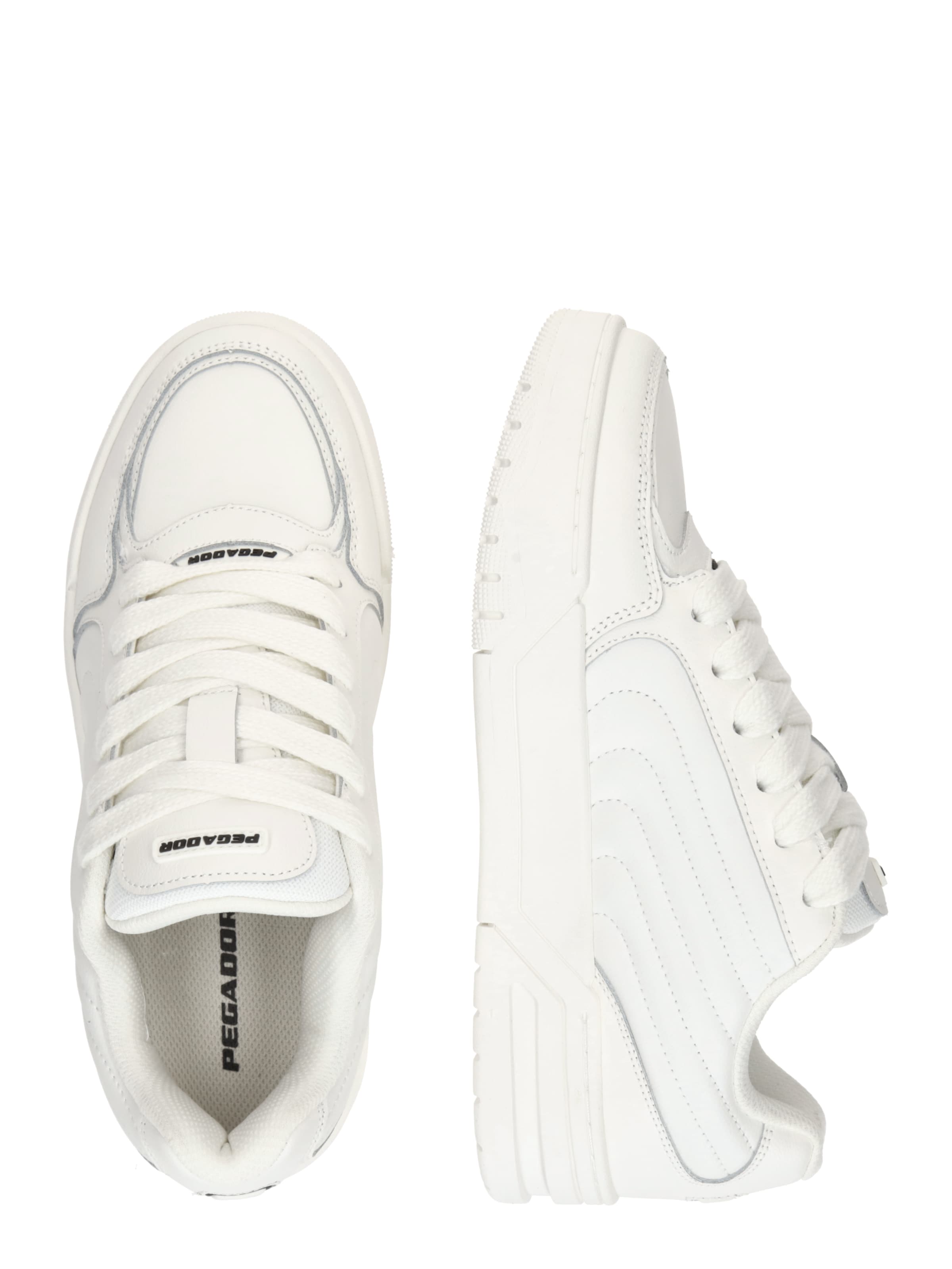 Pegador Σνίκερ χαμηλό 'VENICE' σε λευκό