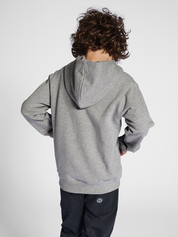 SOMETIME SOON Sweatshirt 'Ocean' i grå