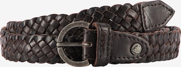 DreiMaster Vintage Belt in Brown: front