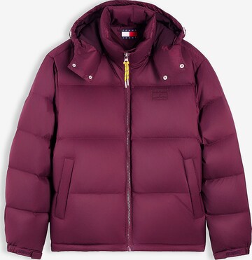 Tommy Jeans Winter jacket 'Alaska' in Purple: front