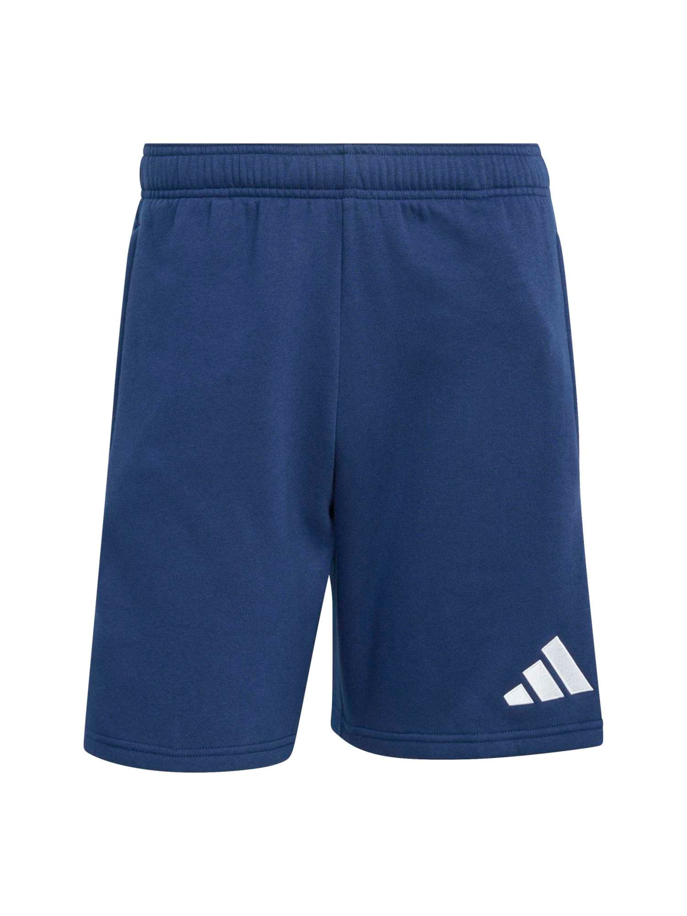 Regular Pantalon de sport 'ENT26' ADIDAS PERFORMANCE en bleu : devant