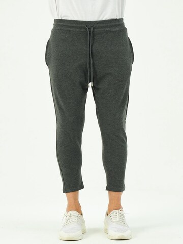 C&City Tapered Pants in Grey