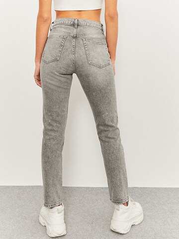 Tally Weijl Slim fit Jeans in Grey
