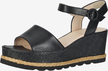 Högl Sandals in Black: front