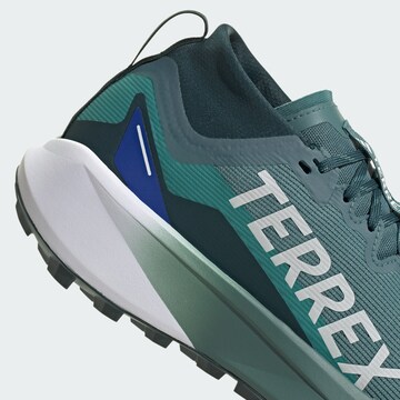 ADIDAS TERREX Lage schoen 'Agravic' in Groen