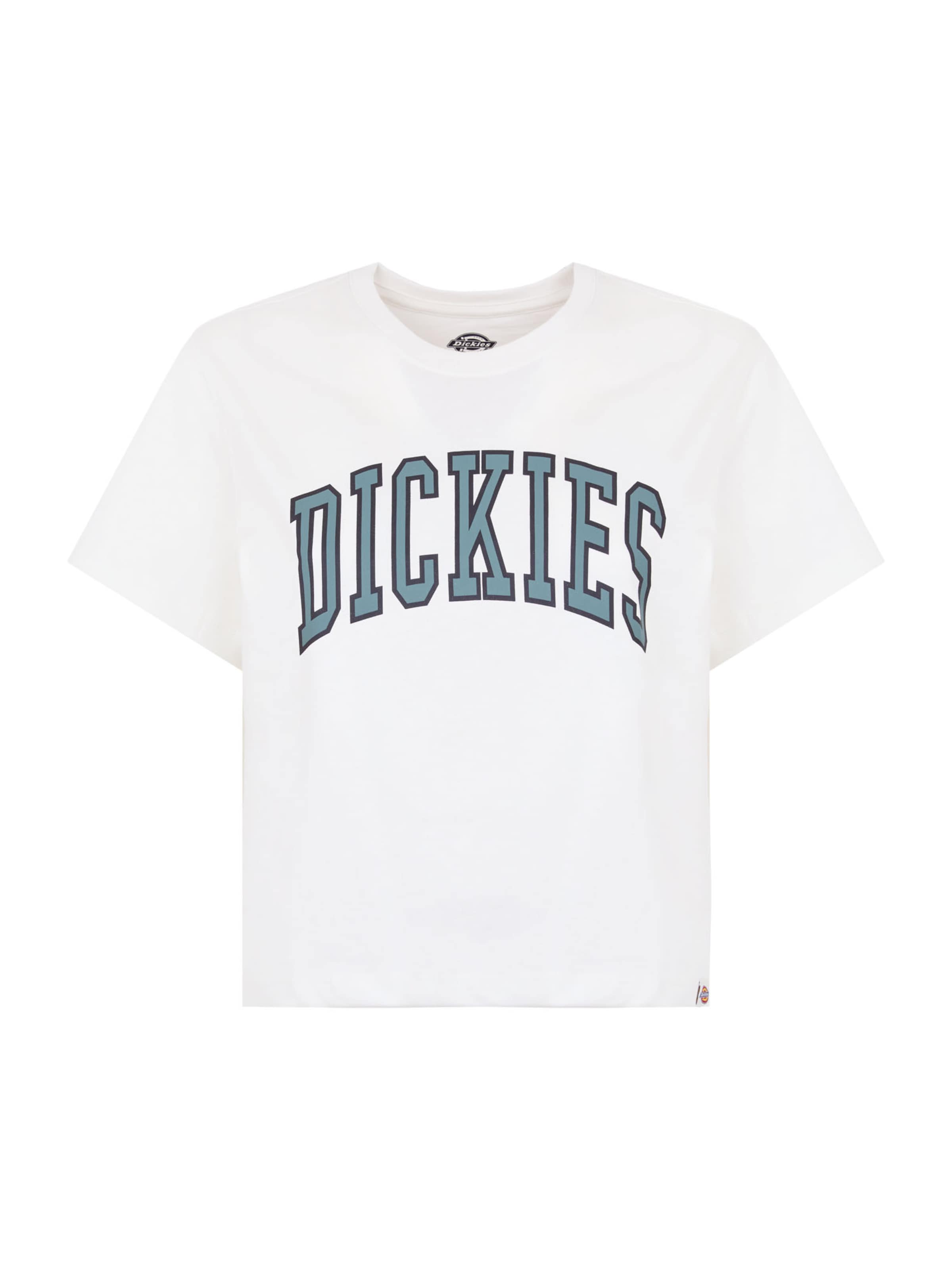 DICKIES T-shirt 'Aitkin' i vit: framsida