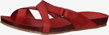 COSMOS COMFORT Mules in Red: front