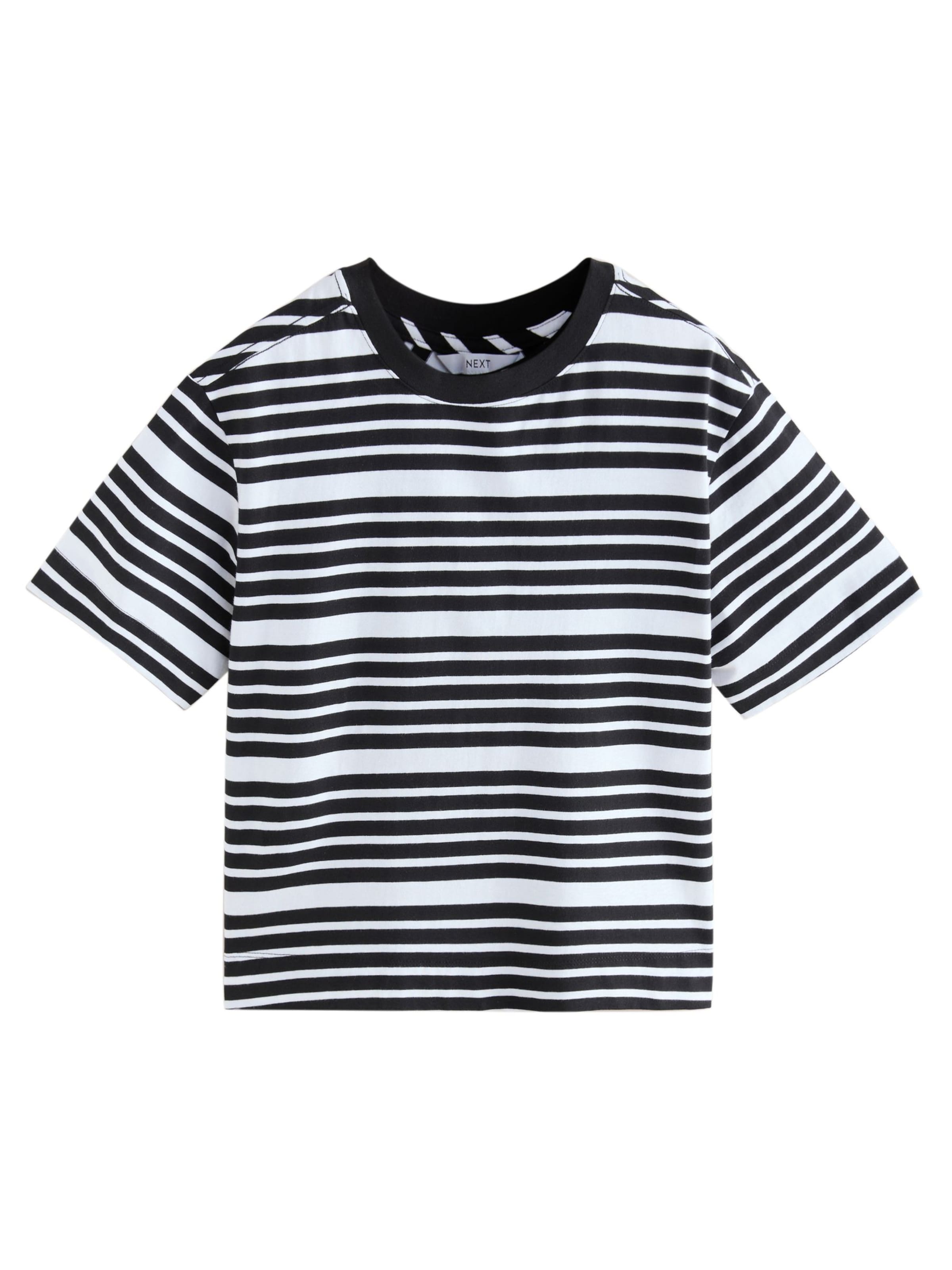 Next T-Shirt in Mischfarben