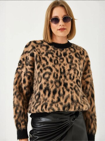 Bianco Lucci Sweater in Brown