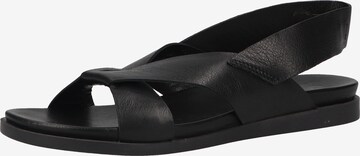 ILC Sandals in Black: front