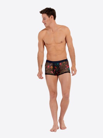 Boxers ' Exotica ' HOM en mélange de couleurs
