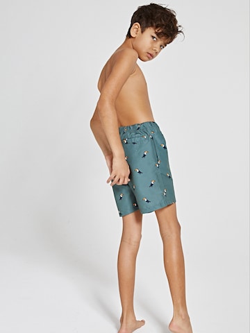 Shiwi Board Shorts in Green