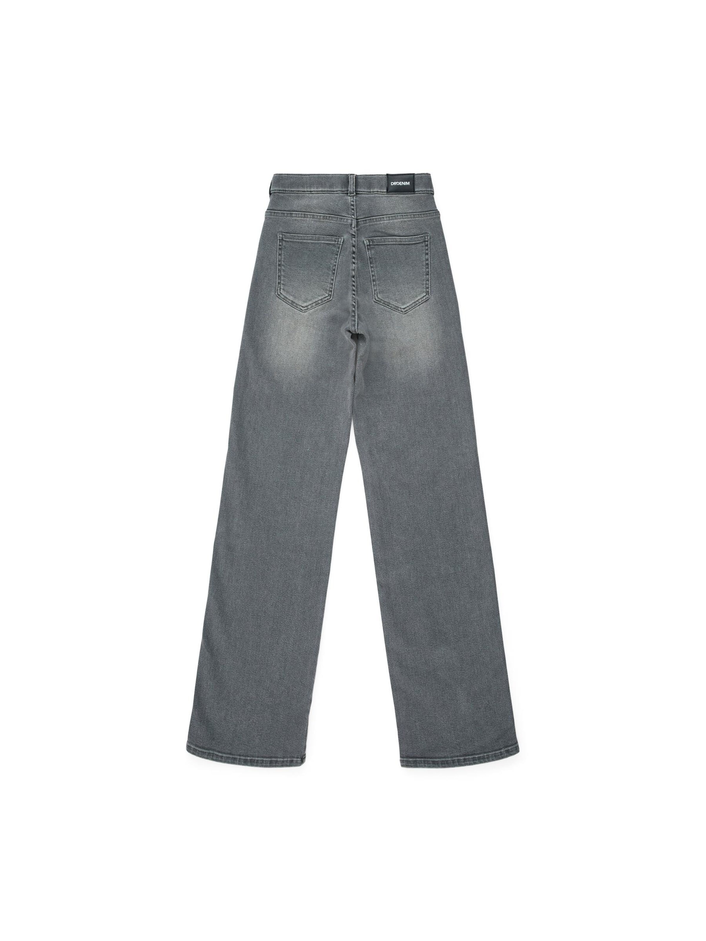 Dr. Denim Slim fit Jeans 'Moxy High Straight Jeans' in Grey
