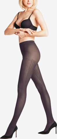 FALKE Strumpfhose 'Prime Rib' in Grau: Vorderseite