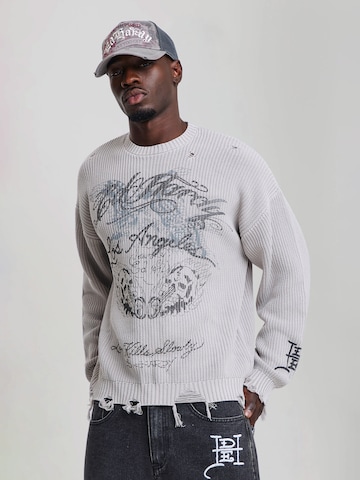 Ed Hardy Pullover in Grau: Vorderseite