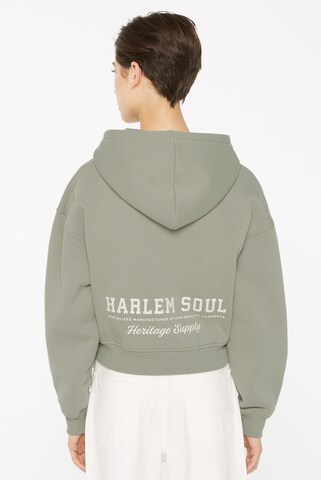 Harlem Soul Sweatjacke 'DAR:LA' in Grün