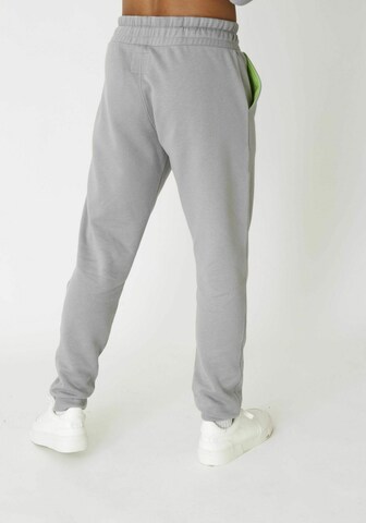 THAT GORILLA BRAND Tapered Pants 'Rafiki' in Grey