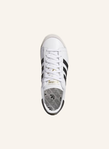 ADIDAS ORIGINALS - Sapatilhas baixas 'Jabbar' em branco