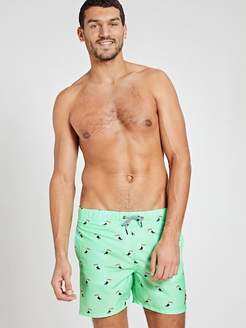 Shiwi Swimming shorts 'Tucan' in Green: front