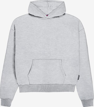 Prohibited Sweatshirt i grå: forside