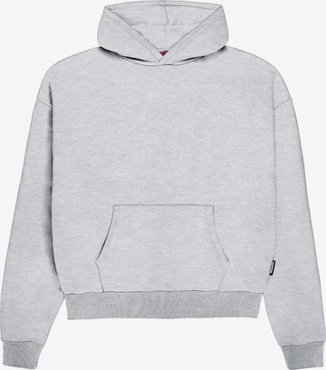 Prohibited - Sweatshirt em cinzento: frente