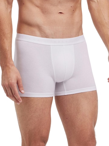 FALKE Boxer shorts in White: front