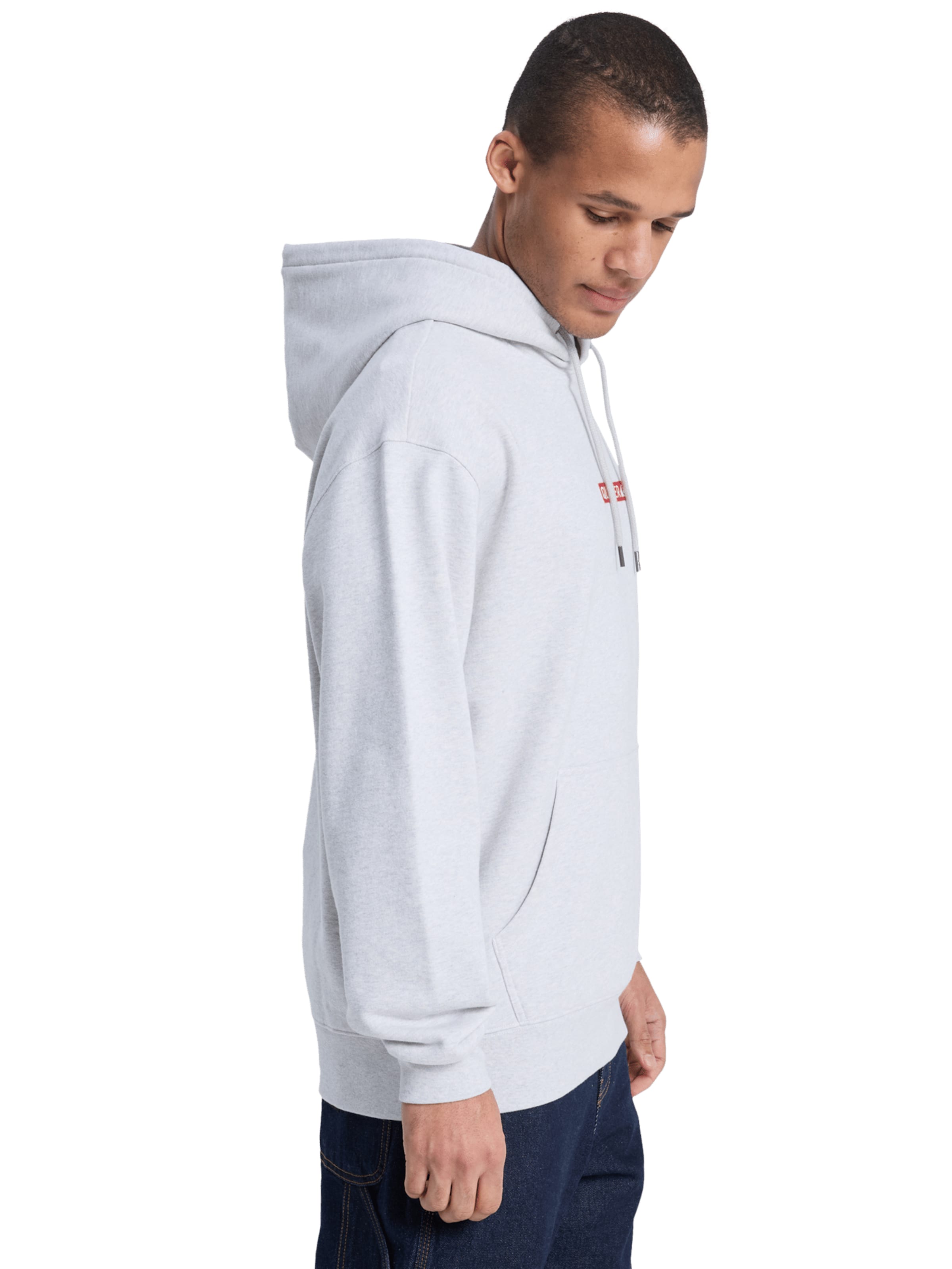QUIKSILVER Sweatshirt 'Dna' in Grey