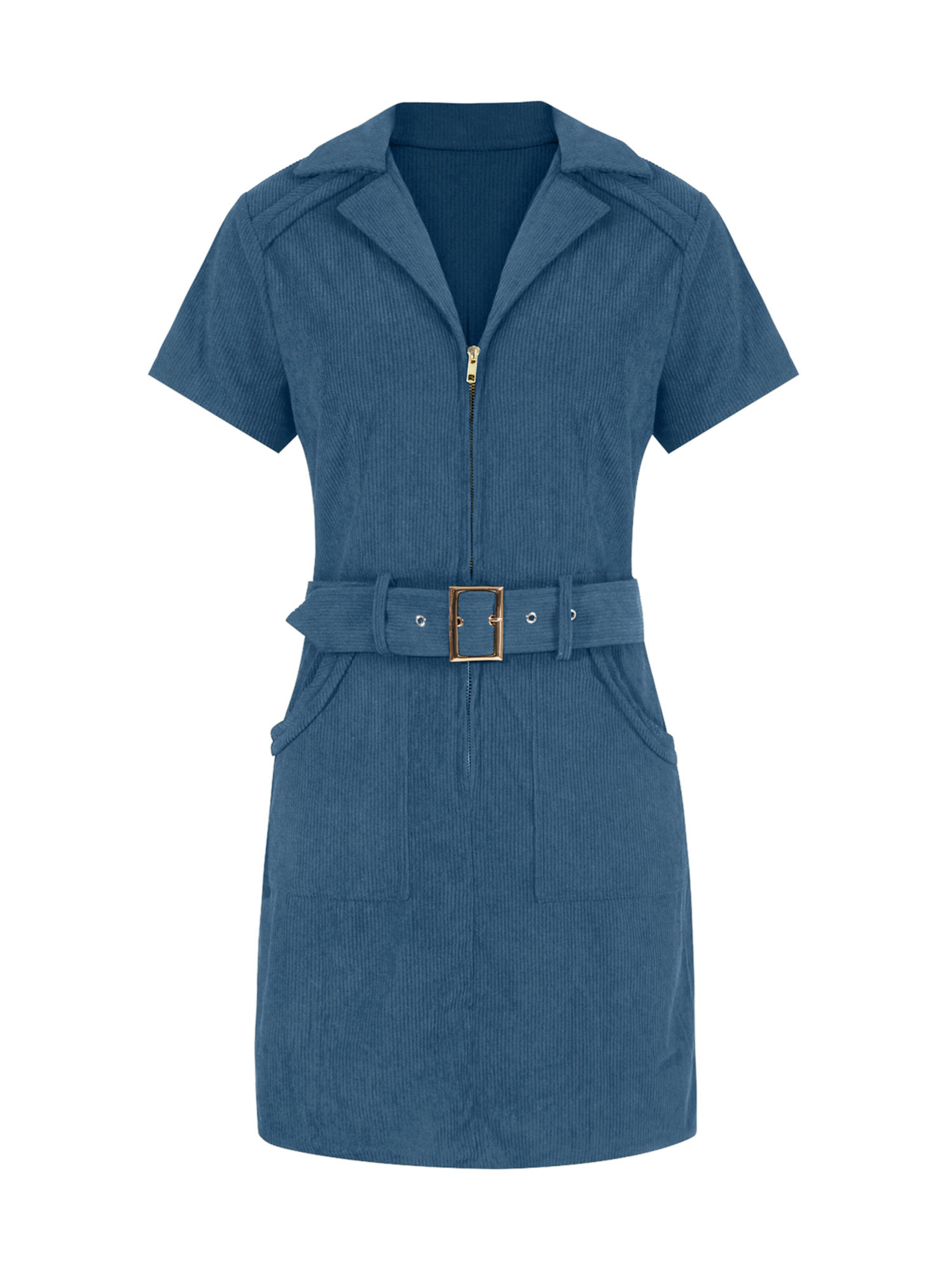 Imily Bela Dress in Blue: front