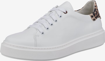 Paul Vesterbro Sneakers in White: front