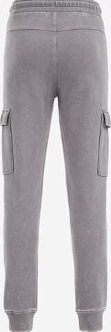 Effilé Pantalon WE Fashion en gris