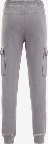 WE Fashion Tapered Hose in Grau