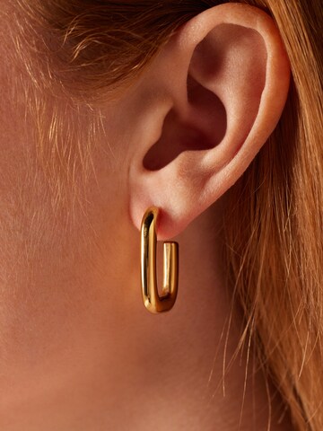 Boucles d'oreilles Lucardi en or : devant