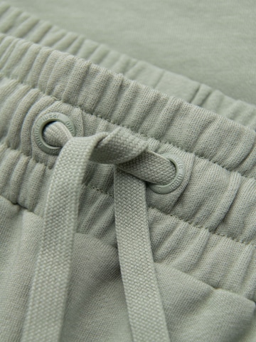 Regular Pantaloni de la Ombre pe verde