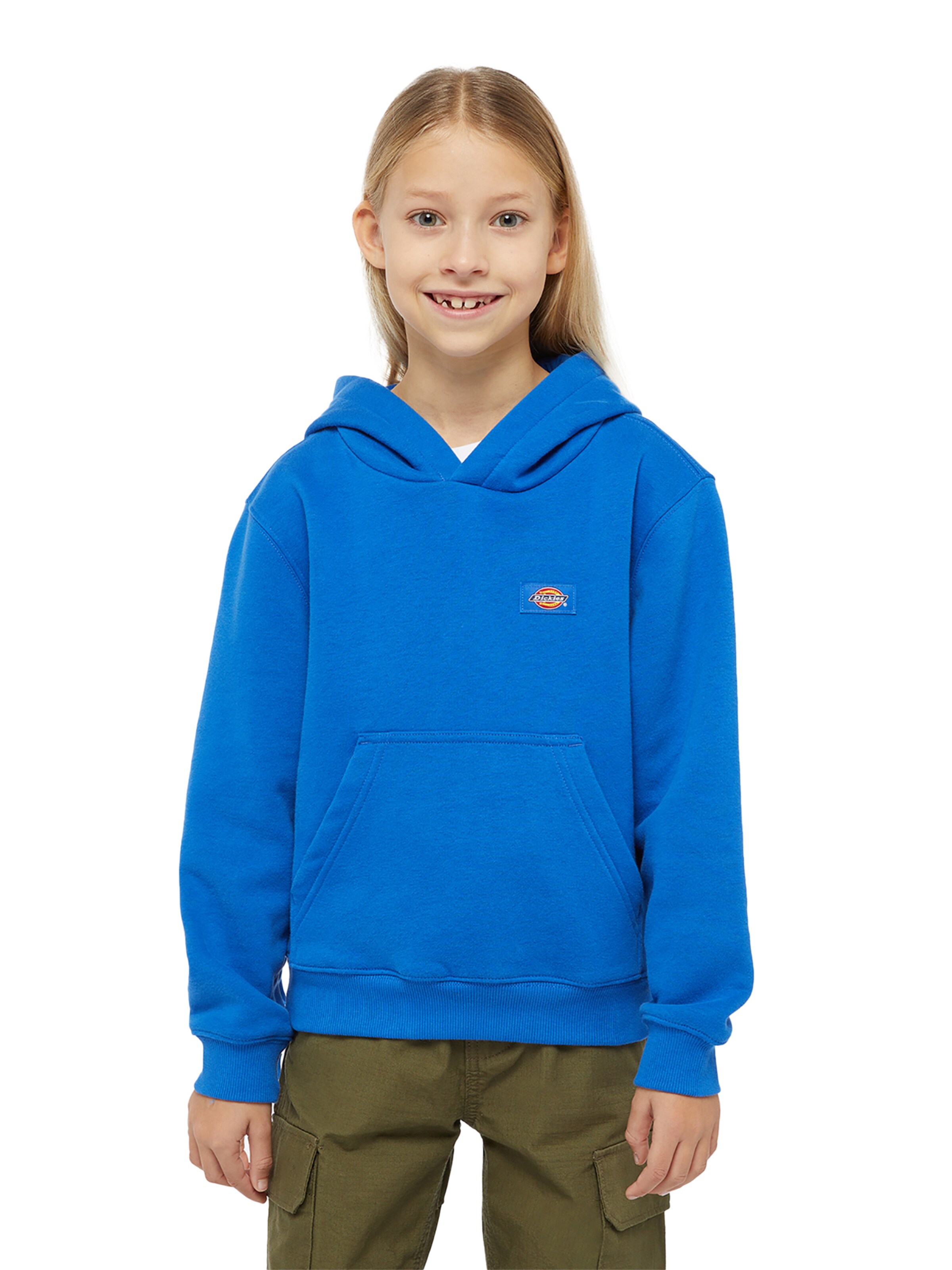 DICKIES - Sudadera en azul: frente