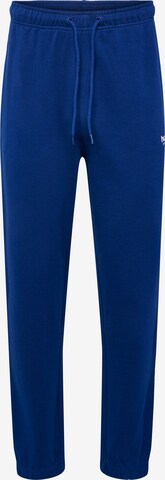Hummel Normalny krój Spodnie 'Gabe' w kolorze niebieski: przód