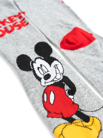 MICKEY MOUSE Socken‌ in Mischfarben