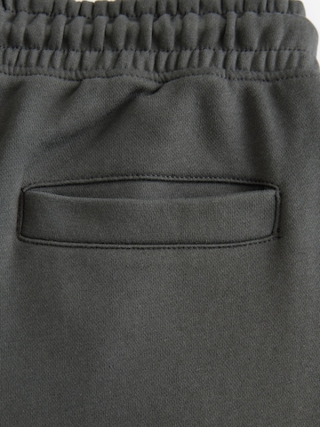 Tapered Pantaloni di Next in grigio