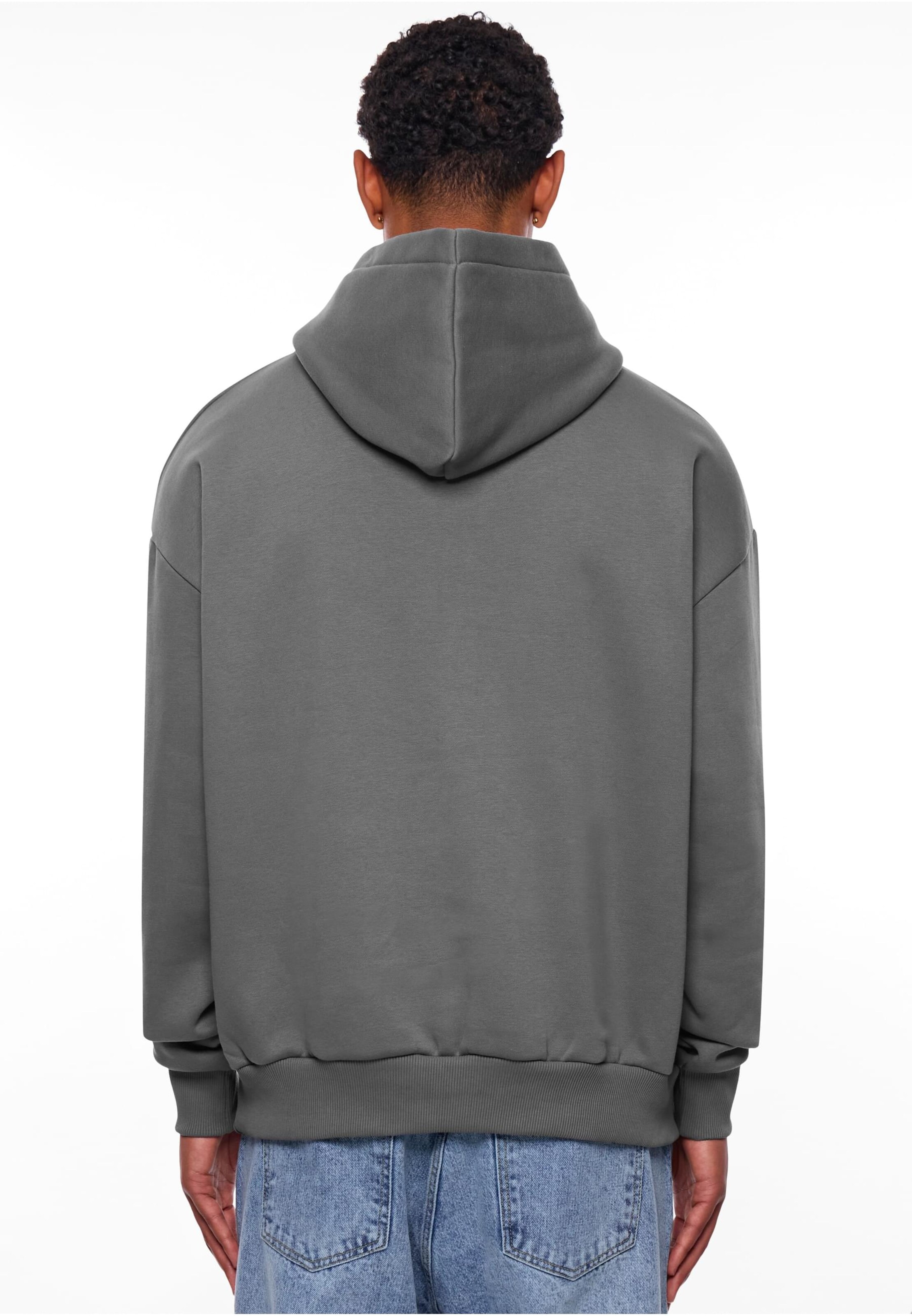 Dropsize Sweatshirt in Grey
