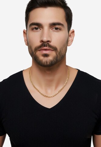 Heideman Necklace 'Ravi' in Gold: front