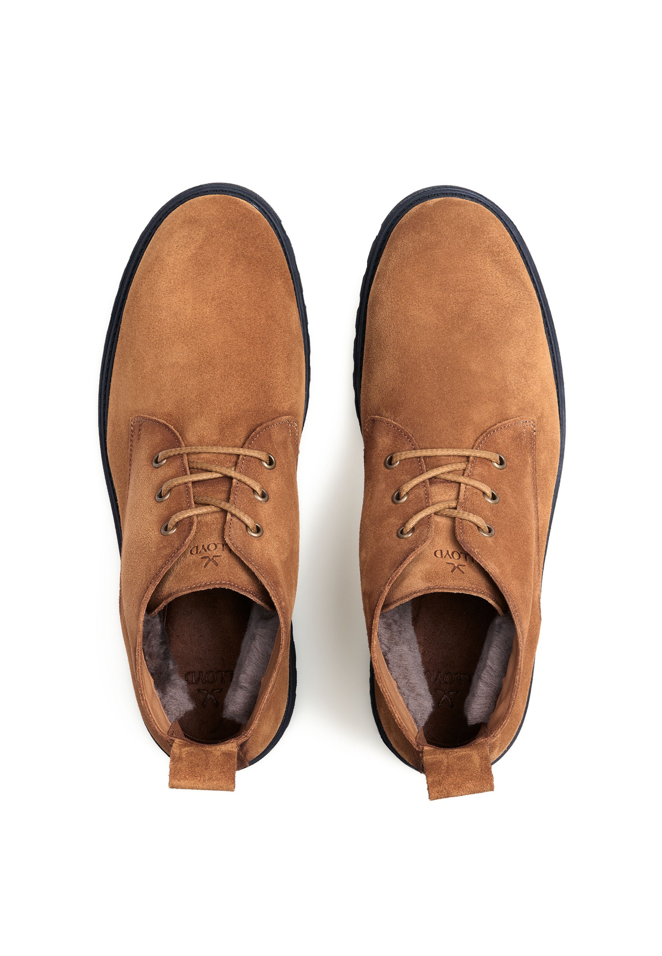 LLOYD Boots in Brown