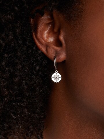 Boucles d'oreilles Lucardi en argent : devant